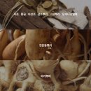 (주)건용환경개발 - 4636 | 페터브 귀세정제 내돈내산 후기 강아지 귀긁음 귀냄새 심할때 필수!