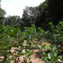 천년농장 이미지