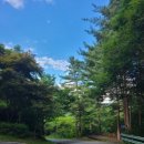 강씨봉자연휴양림 이미지