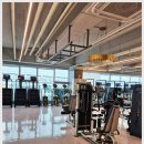 웰니스앤핏 헬스 PT 동탄호수공원점 이미지