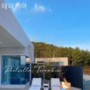 테라키아 이미지