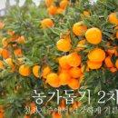 흥부네곳간