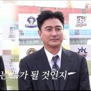 팀라이온 이미지