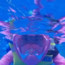 가온이네 이미지