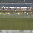 일영낚시터 | 송추 일영낚시터 하우스낚시 후기