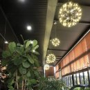 용문 애견 이미지