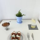 산호애견 | 서울 관악구 카페 | 조용한 분위기의 봉천동 신상카페 애견동반 가능(+히코 2호점) ‘산호’