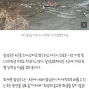 [Dear/폰트] Dear뱀뱀해 / 폰트후기 / 연필로 한 획 한 획 정성들여 쓴 둣한 폰트🩵