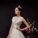 비비드블랑 이미지