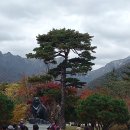 설악어린이공원 이미지