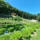 고인목장 이미지