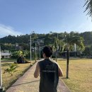 드림베이대로 | 피피섬 반일투어 현지 업체 후기! (몽키해변, 마야베이, 스노쿨링)