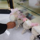 송산장례문화원 이미지