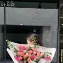 아르화 이미지