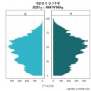 대한민국 2100년 예상 인구추계 이미지