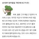 준주니 | 장맛비 피해 궁전으로갈수도