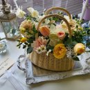 피오리레 이미지