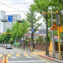 옐로카펫 이미지