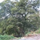 서성리 입구 이미지