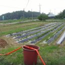 창희네 농장 이미지