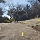 신선대 입구 임도 이미지