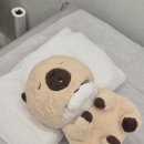 서현세탁소 | 서현 임산부왁싱으로 유명한 유니크왁싱에서 저자극 브라질리언왁싱 솔직후기