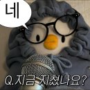 두찜 부산구포점 | 2501~07 반오십 적응기 / 이번 여름 햇살은 덜 익은 능소화 색이었다, 토마토 바질 에이드, 식단 하기...