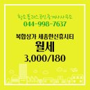 한신휴공인중개사사무소 | 황소플러스공인중개사사무소 복합상가 세종한신휴시티 월세 도담동 3,000/180