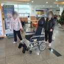 포항휠체어 이미지