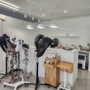 청주 강서동 미용실:) 손상모복구 잘하는 클로버헤어 강서점