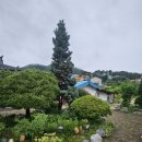주식회사 대성사