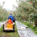 예솔농장 이미지