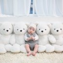 아기곰스튜디오
