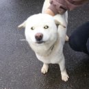 낙동남로 이미지