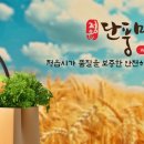 단풍미인 이미지