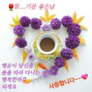 하북초등학교 이미지