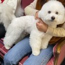 몽땅 포레스트 이미지