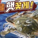 서해안마트 이미지