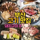 부민동대패삼겹살 | 부산 고기 맛집 / 돼지구이편 8