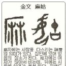 마고