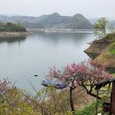 도화리마을 이미지
