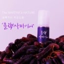 사파이어 전자 이미지