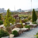 한밭수목원 이미지