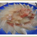 일광횟집 이미지