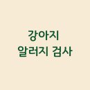 성경완 동물병원 네이버블로그