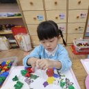 [몰펀 블럭] 대롱대롱 코알라 이미지