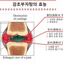 부자탕 이미지