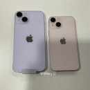 색만 보고 아이폰 13 핑크 vs 14 퍼플 이미지