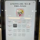 인천 논현동카페 추천 요아정 요거트아이스크림의정석 인천논현점