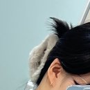 복실이식당 이미지